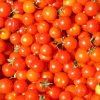 _tomatoes-835385_1280-1