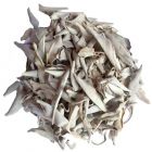 white-sage-1038465_640_140x140_adaptiveResize